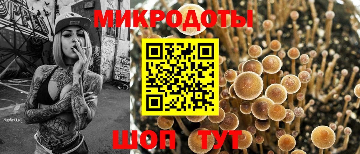 Псилоцибиновые грибы Magic Shrooms Гусев