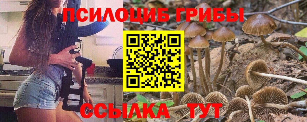 Гусев  Галлюциногенные грибы GOLDEN TEACHER  Вход с VPN 